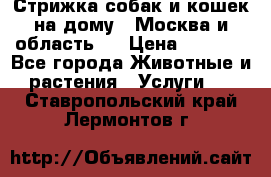 Стрижка собак и кошек на дому.  Москва и область.  › Цена ­ 1 200 - Все города Животные и растения » Услуги   . Ставропольский край,Лермонтов г.